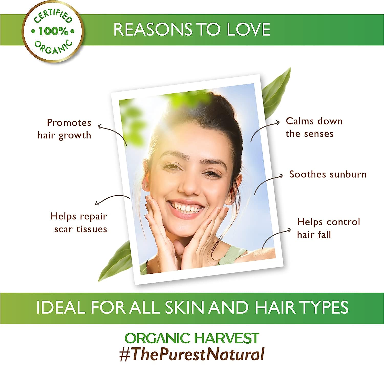 Organic Harvest Lavender Essential Oil 10 ml | 100% Certified Organic | For All Skin & Hair Type, Pack of 1 Organic Harvest Lavender Essential Oil 10 ml | 100% Certified Organic | For All Skin & Hair Type, Pack of 1