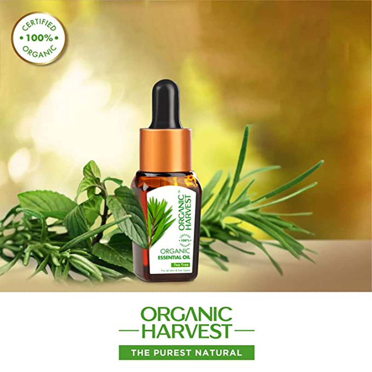 Organic Harvest Tea Tree Essential Oil 10 ml | 100% Certified Organic | For All Skin Type & Hair Types, Pack of 1 Organic Harvest Tea Tree Essential Oil 10 ml | 100% Certified Organic | For All Skin Type & Hair Types, Pack of 1