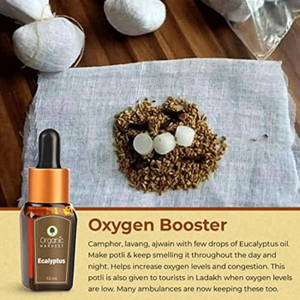 Organic Harvest Ecalyptus Essential Oil 10 ml | For Face, Skin & Hair Care | Relieves Muscle & Joint Pain | 100% Orgainc Essential Oil, Pack of 1 Organic Harvest Ecalyptus Essential Oil 10 ml | For Face, Skin & Hair Care | Relieves Muscle & Joint Pain | 100% Orgainc Essential Oil, Pack of 1