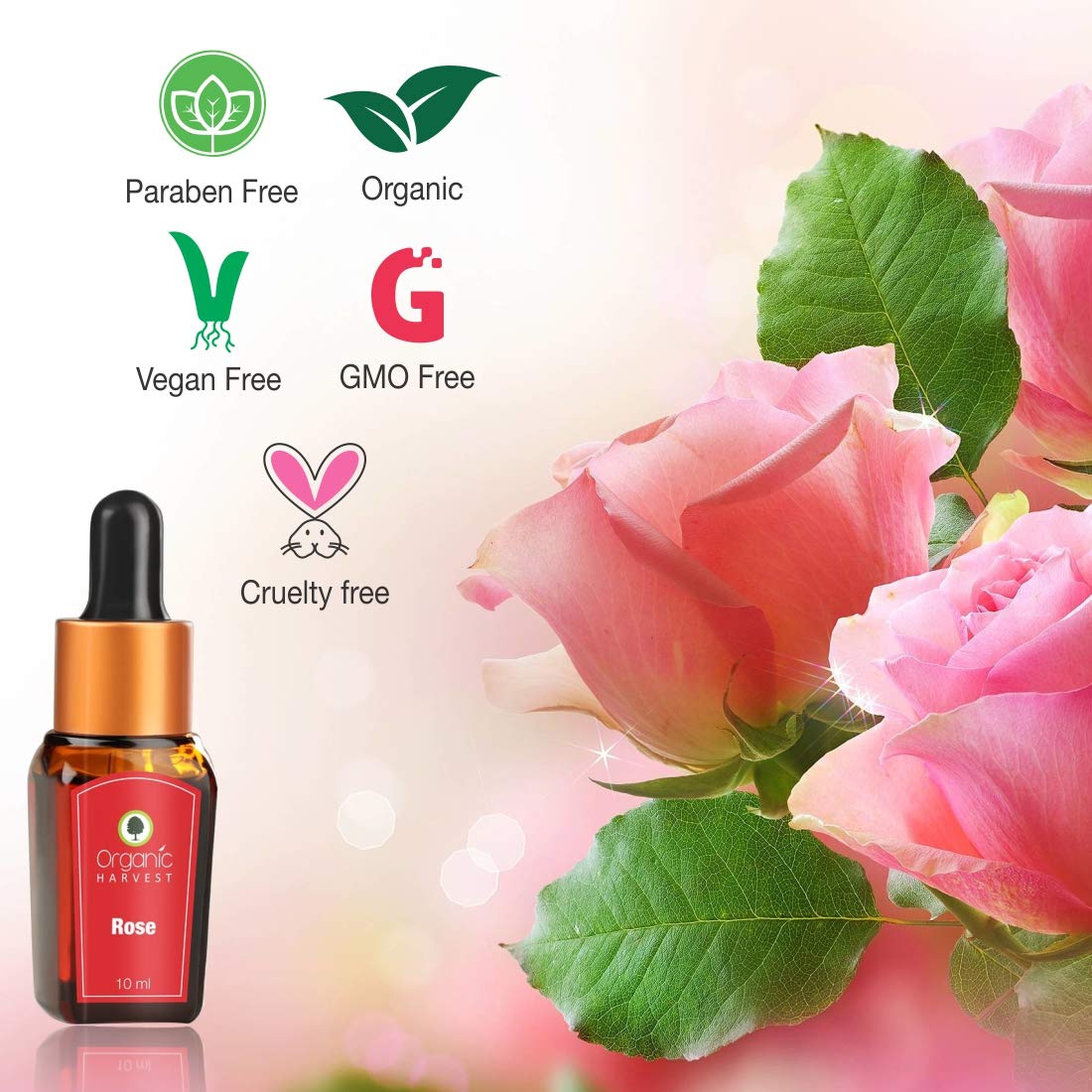 Organic Harvest Rose Essential Oil 10 ml | Pure Rose Oil | Treats Dry Acne & Wrinkles | Evens Skin Tone | Organic, Pack of 1 Organic Harvest Rose Essential Oil 10 ml | Pure Rose Oil | Treats Dry Acne & Wrinkles | Evens Skin Tone | Organic, Pack of 1
