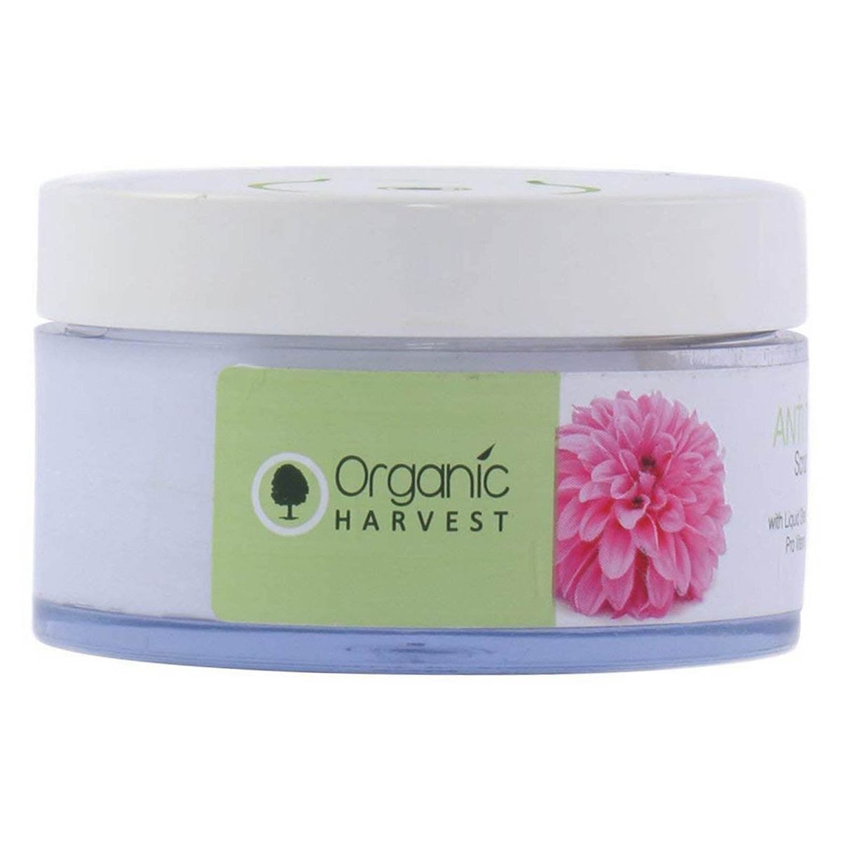 Organic Harvest Anti Tan Scrub 50 gm | With Liquid Shea Butter & Pro Vitamin B5 | Tan Removal, Pack of 1 Organic Harvest Anti Tan Scrub 50 gm | With Liquid Shea Butter & Pro Vitamin B5 | Tan Removal, Pack of 1