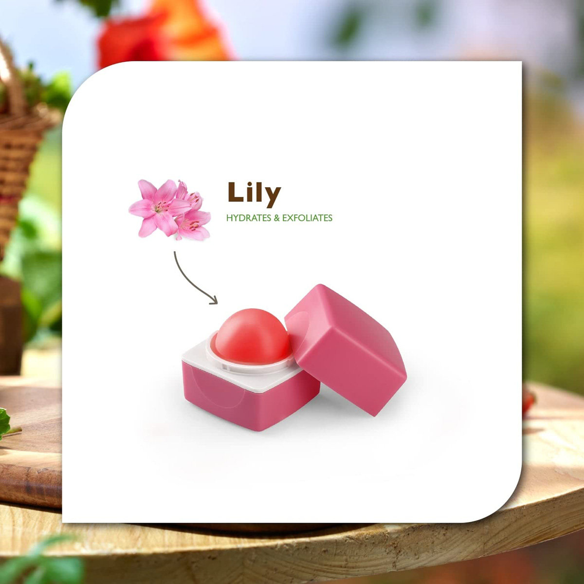 Organic Harvest Pink Tinted Lip Balm 10 gm | Formulated With 100% Organic Lily | Hydrates & Nourishes Dry, Chapped Lips | 100% Certified Organic | For Dry Lips, Pack of 1 Organic Harvest Pink Tinted Lip Balm 10 gm | Formulated With 100% Organic Lily | Hydrates & Nourishes Dry, Chapped Lips | 100% Certified Organic | For Dry Lips, Pack of 1