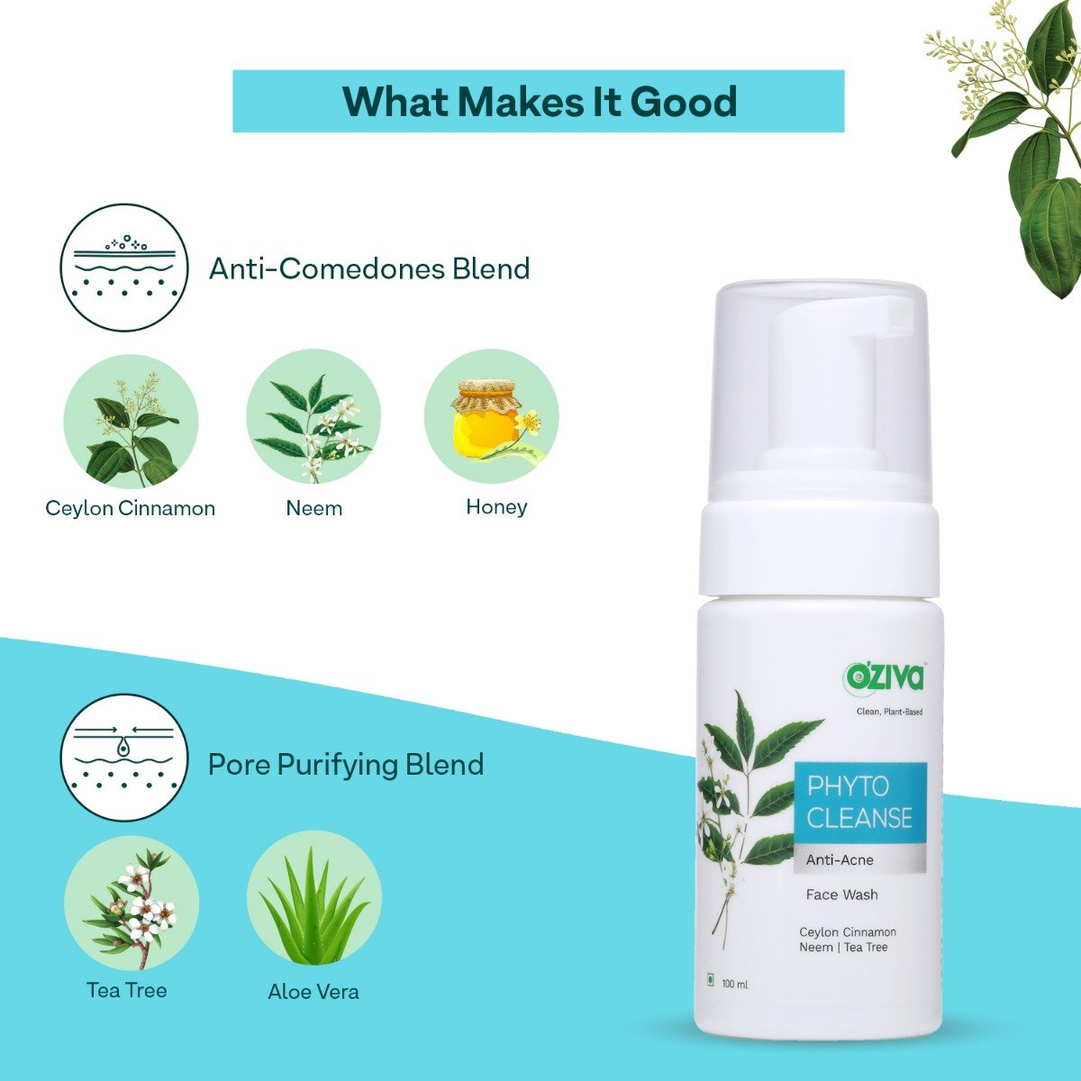 OZiva Phyto Cleanse Anti-Acne Face Wash 100 ml | Ceylon Cinnamon, Neem, Tea Tree | Controls Acne | Maintans Skin pH Balance | For Men & Women | For Oily, Combination, Acne Prone Skin & All Skin Type, Pack of 1 OZiva Phyto Cleanse Anti-Acne Face Wash 100 ml | Ceylon Cinnamon, Neem, Tea Tree | Controls Acne | Maintans Skin pH Balance | For Men & Women | For Oily, Combination, Acne Prone Skin & All Skin Type, Pack of 1