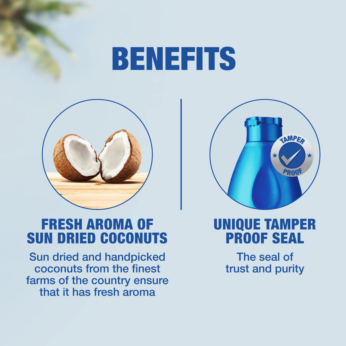 Parachute Pure Coconut Hair Oil, 300 ml, Pack of 1 Parachute Pure Coconut Hair Oil, 300 ml, Pack of 1