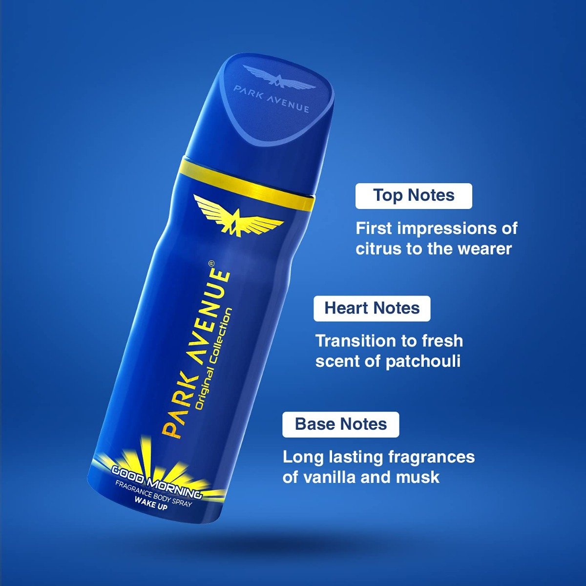 Park Avenue Good Morning Fragrance Body Spray for Men, 150 ml, Pack of 1 Park Avenue Good Morning Fragrance Body Spray for Men, 150 ml, Pack of 1