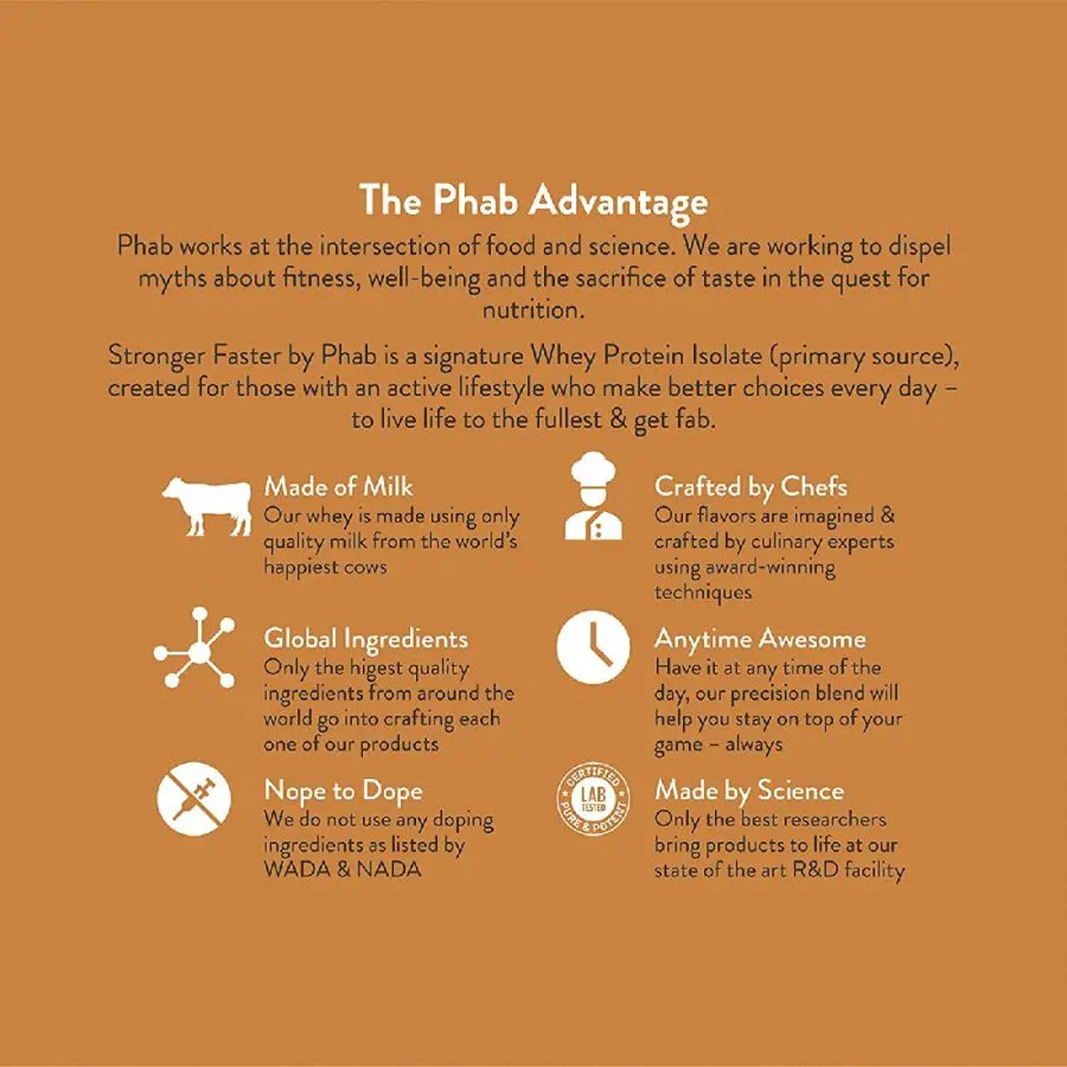 Phab Chocolate Brownie Protein Bar, 65 gm, Pack of 1 Phab Chocolate Brownie Protein Bar, 65 gm, Pack of 1