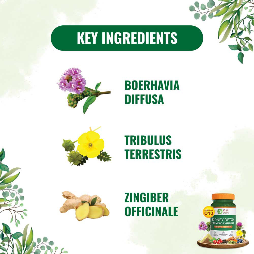 Pure Nutrition Kidney Detox, 60 Capsules, Pack of 1 Pure Nutrition Kidney Detox, 60 Capsules, Pack of 1