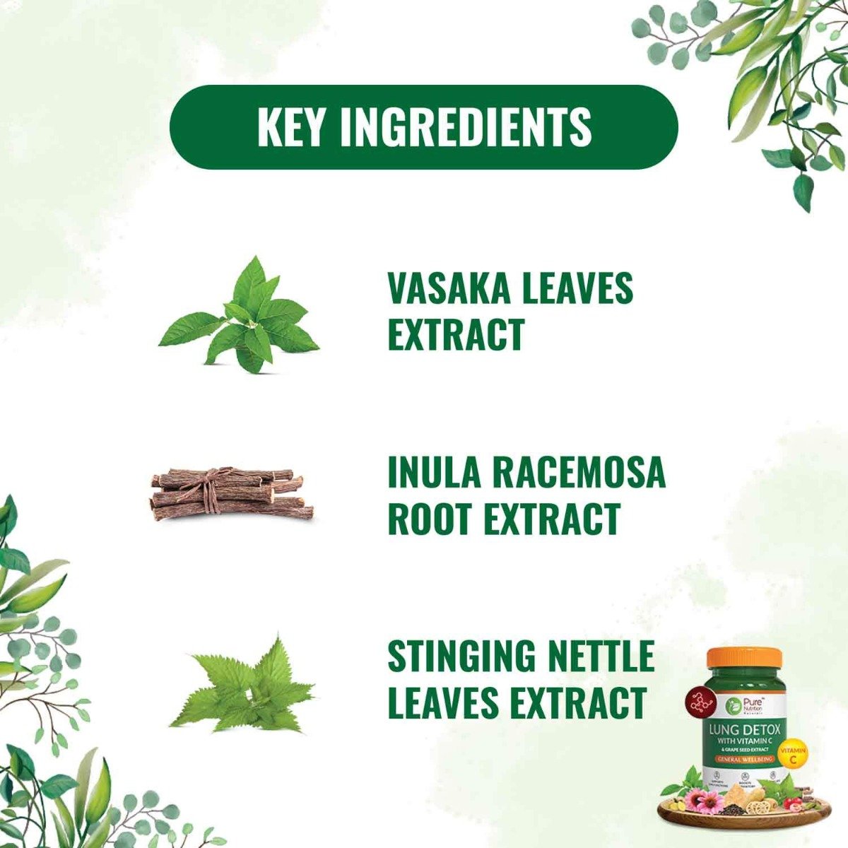 Pure Nutrition Lung Detox, 60 Capsules, Pack of 1 Pure Nutrition Lung Detox, 60 Capsules, Pack of 1