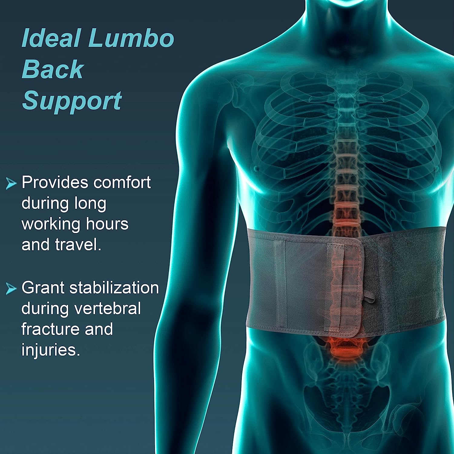 Tynor Lumbo Support Belt Universal, 1 Count, Pack of 1 Tynor Lumbo Support Belt Universal, 1 Count, Pack of 1