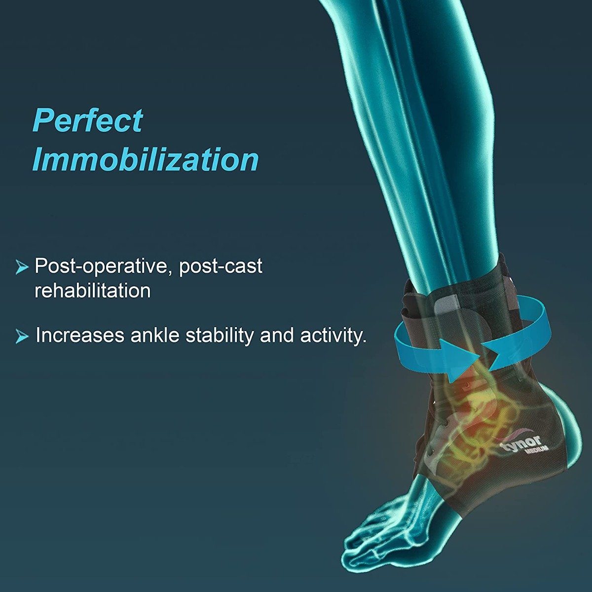 Tynor Ankle Brace Single Large, 1 Pair, Pack of 1 Tynor Ankle Brace Single Large, 1 Pair, Pack of 1