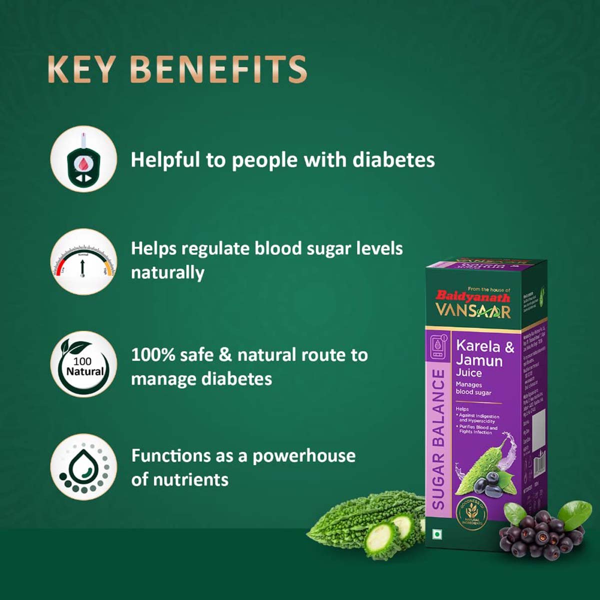 Baidyanath Vansaar Karela & Jamun Juice, 1 Litre, Pack of 1 Baidyanath Vansaar Karela & Jamun Juice, 1 Litre, Pack of 1