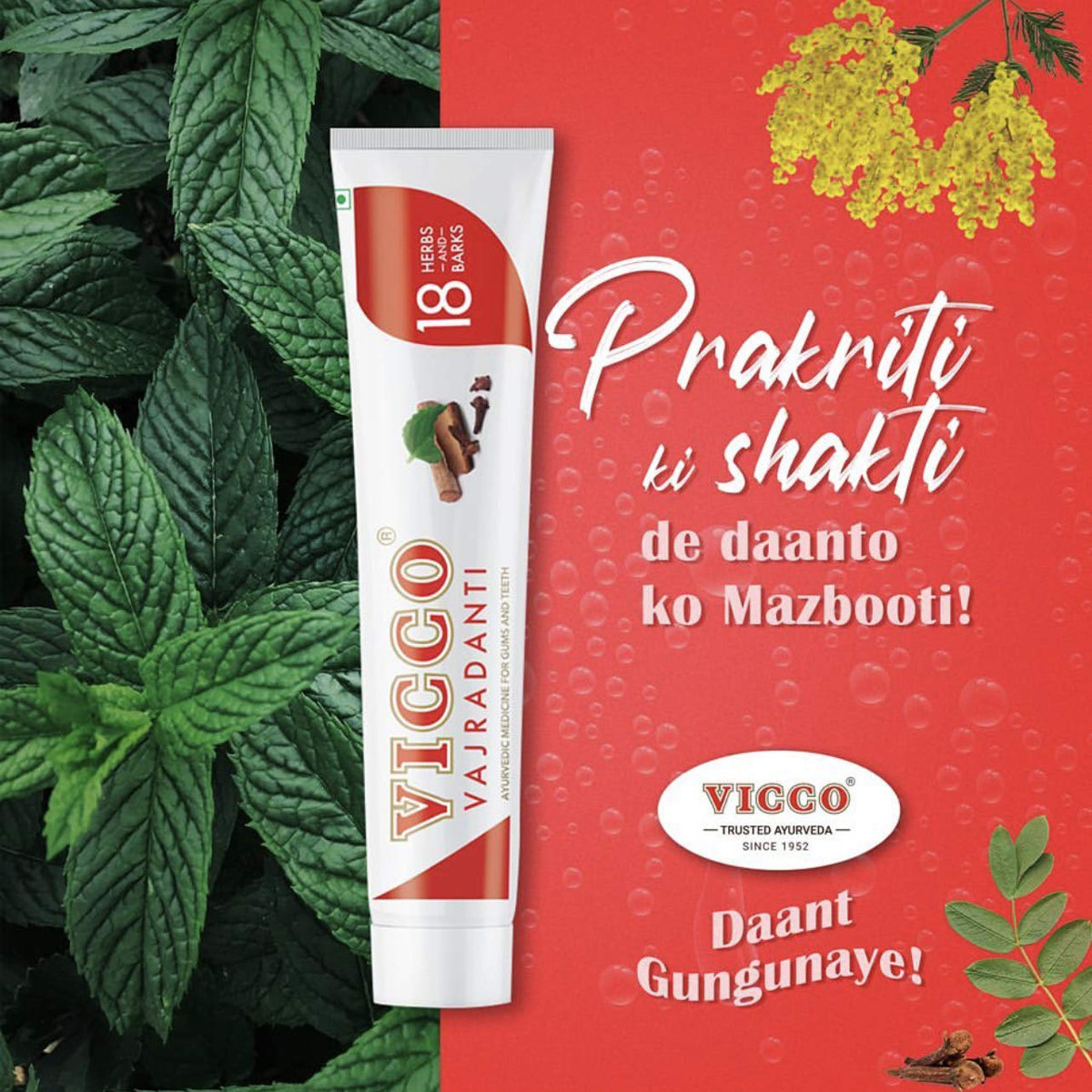 Vicco Vajradanti Ayurvedic Toothpaste, 150 gm, Pack of 1 Vicco Vajradanti Ayurvedic Toothpaste, 150 gm, Pack of 1