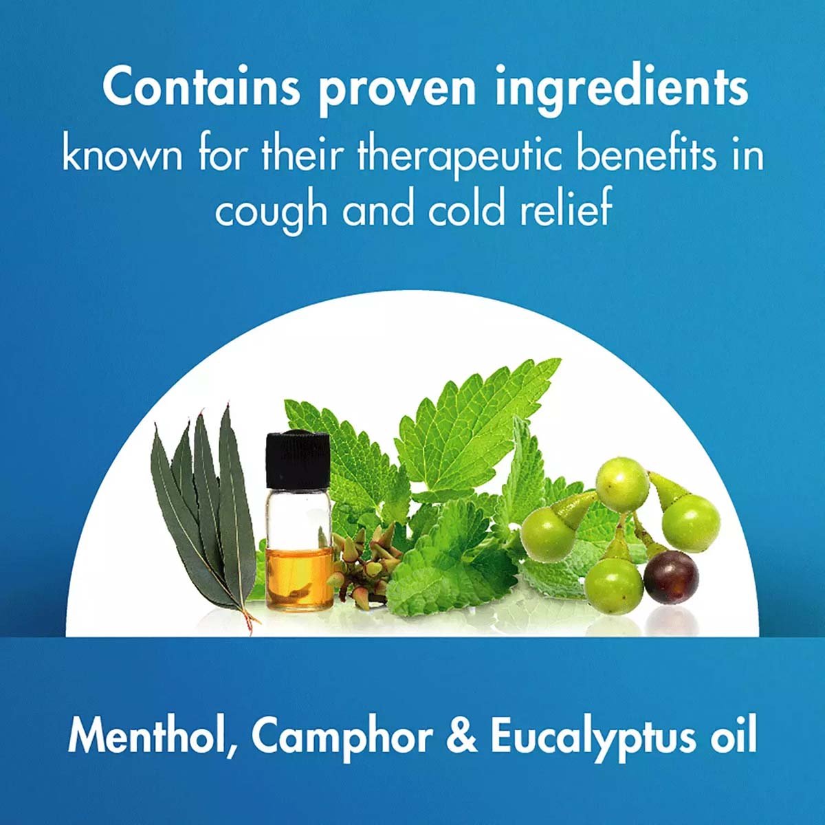 Vicks Vaporub, 5 ml, Pack of 1 Vicks Vaporub, 5 ml, Pack of 1