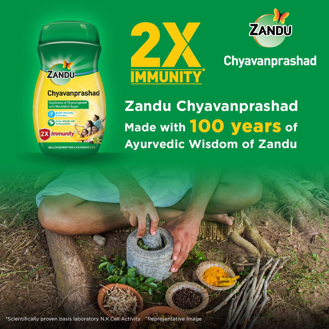 Zandu Sugar Free Chyavanprashad, 450 gm, Pack of 1 Zandu Sugar Free Chyavanprashad, 450 gm, Pack of 1