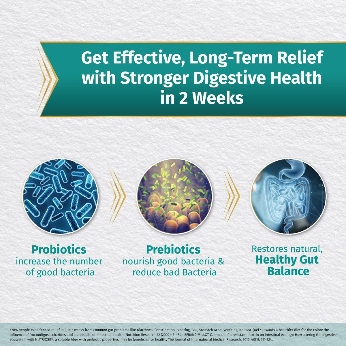 ActiFiber Natural Gut Strength, 255 gm (30 Sachets x 8.5 gm), Pack of 1 ActiFiber Natural Gut Strength, 255 gm (30 Sachets x 8.5 gm), Pack of 1