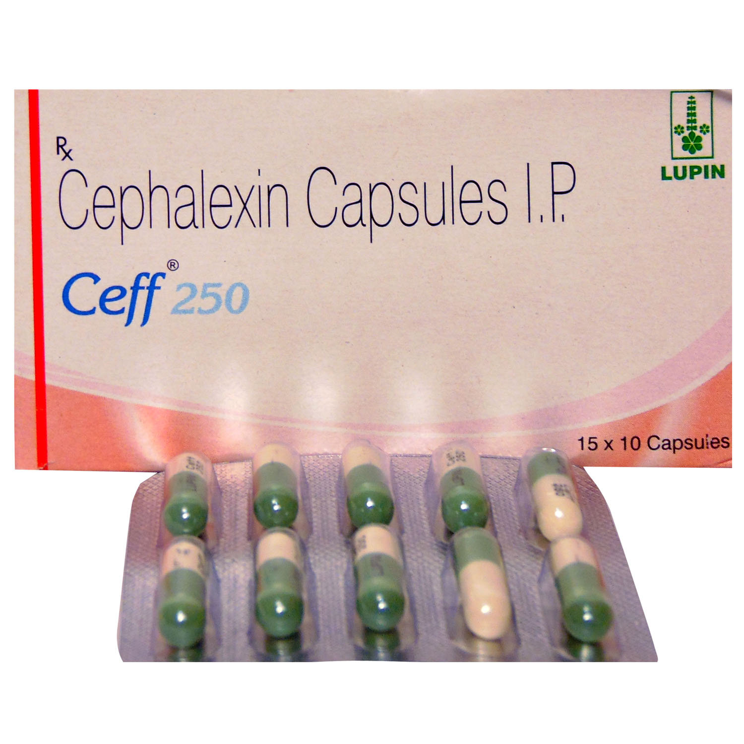 Ceff 250 mg Capsule 10's, Pack of 10 CapsuleS Ceff 250 mg Capsule 10's, Pack of 10 CapsuleS