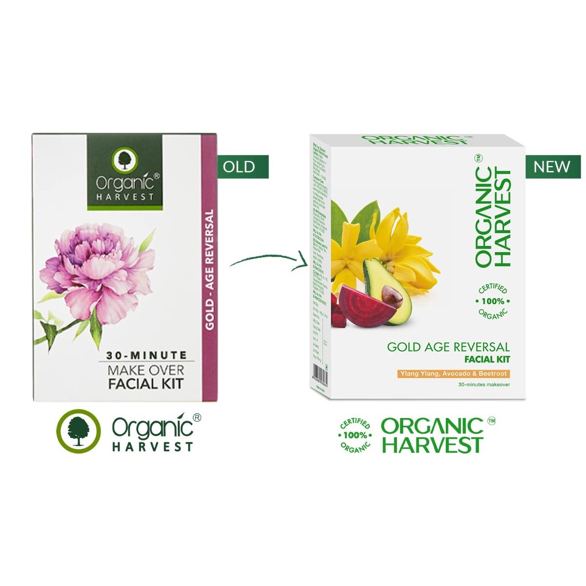 Organic Harvest Gold Age Reversal Facial Kit 1 Count| Ylang Ylang, Avacado & Beetroot | Fights Signs Of Aging | Keep Skin Hydrated & Nourished | Brightens Skin | 100% Certified Organic | For Men & Women | For All Skin Type, Pack of 1 Organic Harvest Gold Age Reversal Facial Kit 1 Count| Ylang Ylang, Avacado & Beetroot | Fights Signs Of Aging | Keep Skin Hydrated & Nourished | Brightens Skin | 100% Certified Organic | For Men & Women | For All Skin Type, Pack of 1