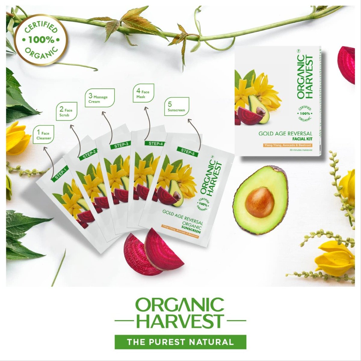 Organic Harvest Gold Age Reversal Facial Kit 1 Count| Ylang Ylang, Avacado & Beetroot | Fights Signs Of Aging | Keep Skin Hydrated & Nourished | Brightens Skin | 100% Certified Organic | For Men & Women | For All Skin Type, Pack of 1 Organic Harvest Gold Age Reversal Facial Kit 1 Count| Ylang Ylang, Avacado & Beetroot | Fights Signs Of Aging | Keep Skin Hydrated & Nourished | Brightens Skin | 100% Certified Organic | For Men & Women | For All Skin Type, Pack of 1