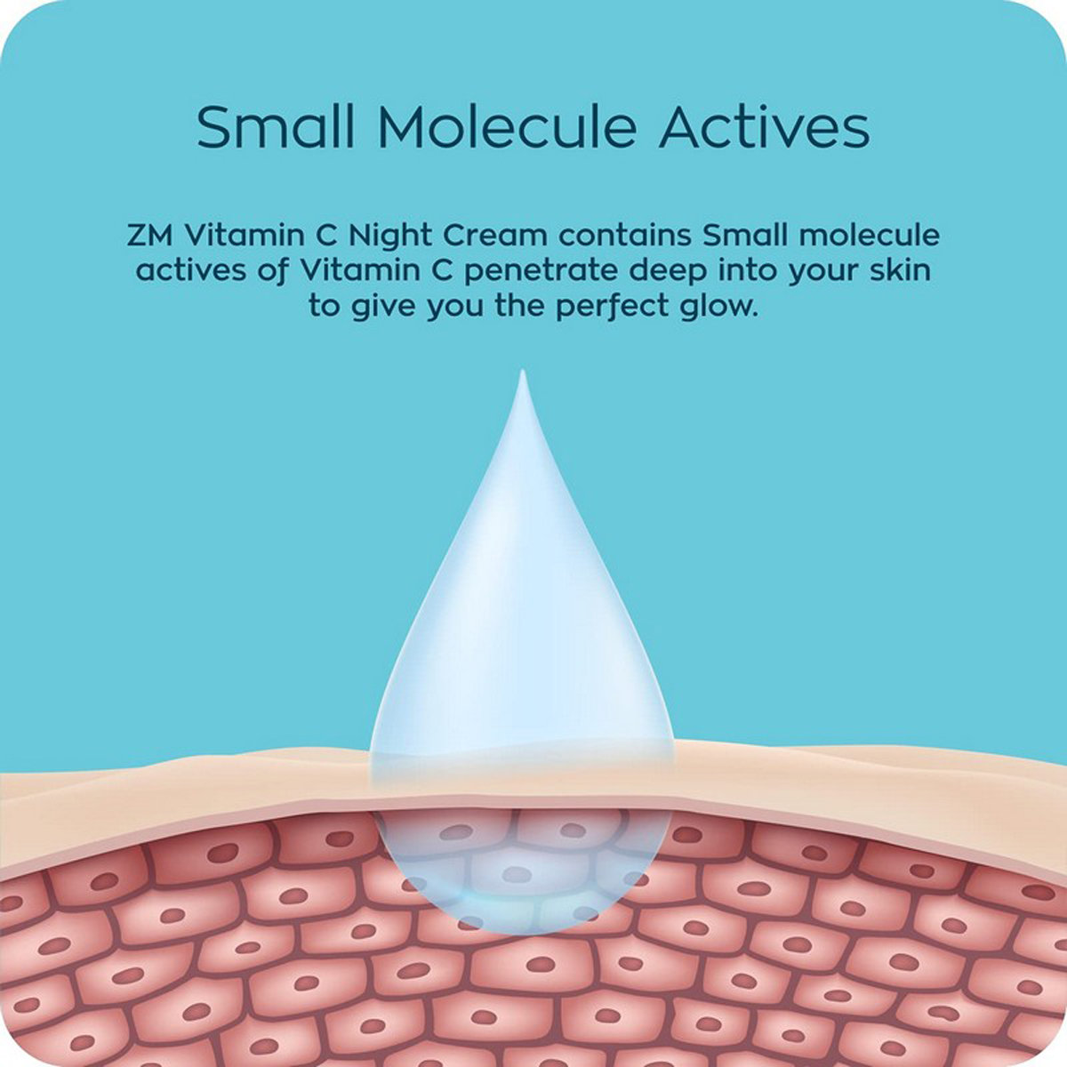 ZM Vitamin C Night Cream 50 gm | With Shea Butter & Murumuru Butter | Skin Rejuvenating Cream | Non Sticky | For All Skin Type, Pack of 1 ZM Vitamin C Night Cream 50 gm | With Shea Butter & Murumuru Butter | Skin Rejuvenating Cream | Non Sticky | For All Skin Type, Pack of 1