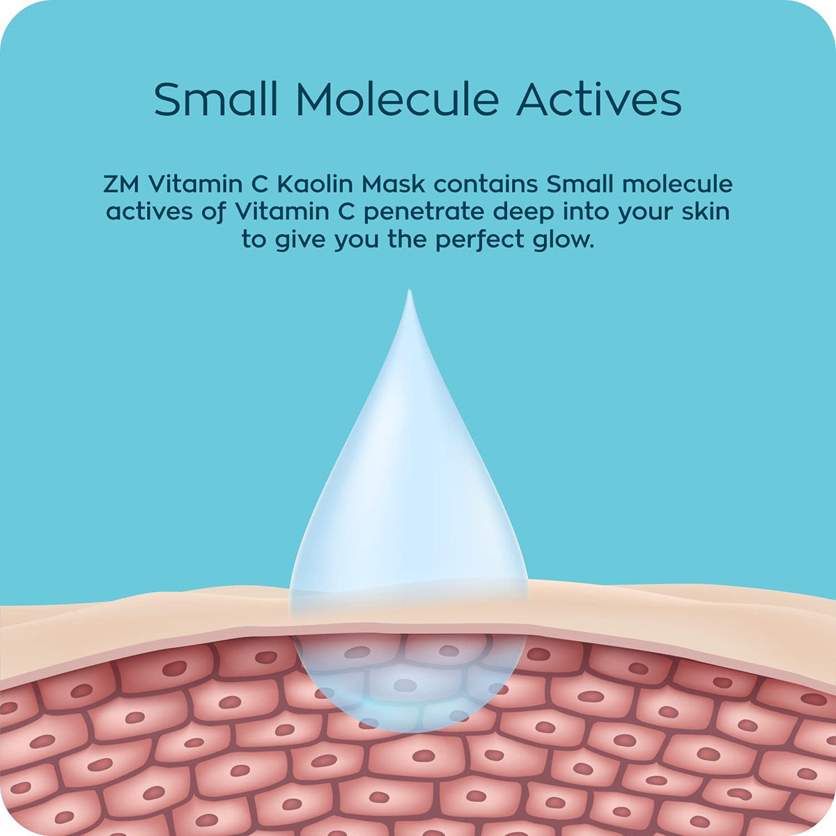 ZM Vitamin C Kaolin Face Mask 50 gm | With Kaolin & Niacinamide | Deep Skin Cleansing | For Glowing & Radiant Skin | For Normal, Dry, Sensitive, Combination & Oily Skin, Pack of 1 ZM Vitamin C Kaolin Face Mask 50 gm | With Kaolin & Niacinamide | Deep Skin Cleansing | For Glowing & Radiant Skin | For Normal, Dry, Sensitive, Combination & Oily Skin, Pack of 1