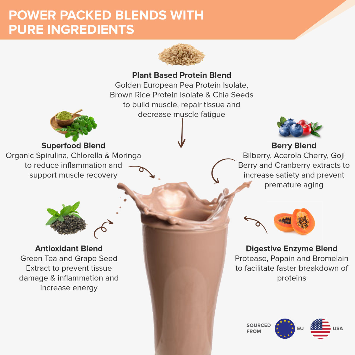 Wellbeing Nutrition Plant Protein Dark Chocolate Hazelnut Flavour Powder, 500 gm, Pack of 1 Wellbeing Nutrition Plant Protein Dark Chocolate Hazelnut Flavour Powder, 500 gm, Pack of 1