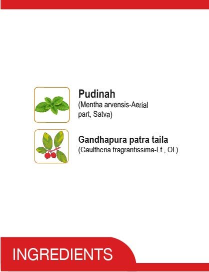 Amrutanjan Maha Strong Pain Balm, 9 gm, Pack of 1 Amrutanjan Maha Strong Pain Balm, 9 gm, Pack of 1