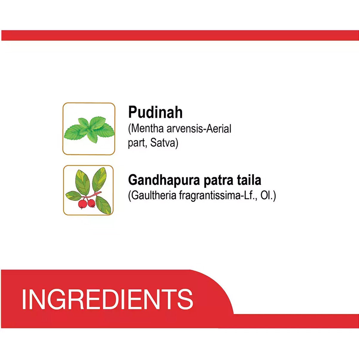 Amrutanjan Maha Strong Pain Balm, 9 gm, Pack of 1 Amrutanjan Maha Strong Pain Balm, 9 gm, Pack of 1