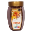 Apollo Life Honey, 500 gm