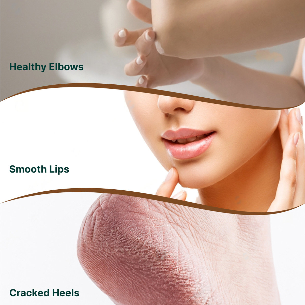 Apollo Life Petroleum Jelly, 100 gm, Pack of 1 Apollo Life Petroleum Jelly, 100 gm, Pack of 1