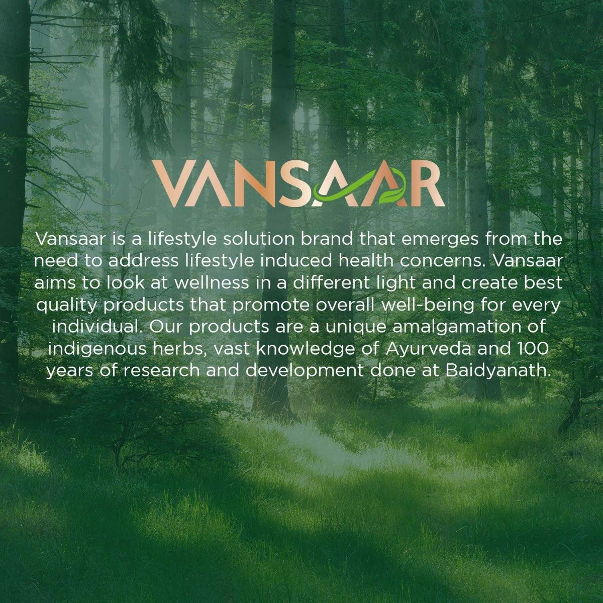 Baidyanath Vansaar Ayuprash Chyawanprash, 500 gm, Pack of 1 Baidyanath Vansaar Ayuprash Chyawanprash, 500 gm, Pack of 1