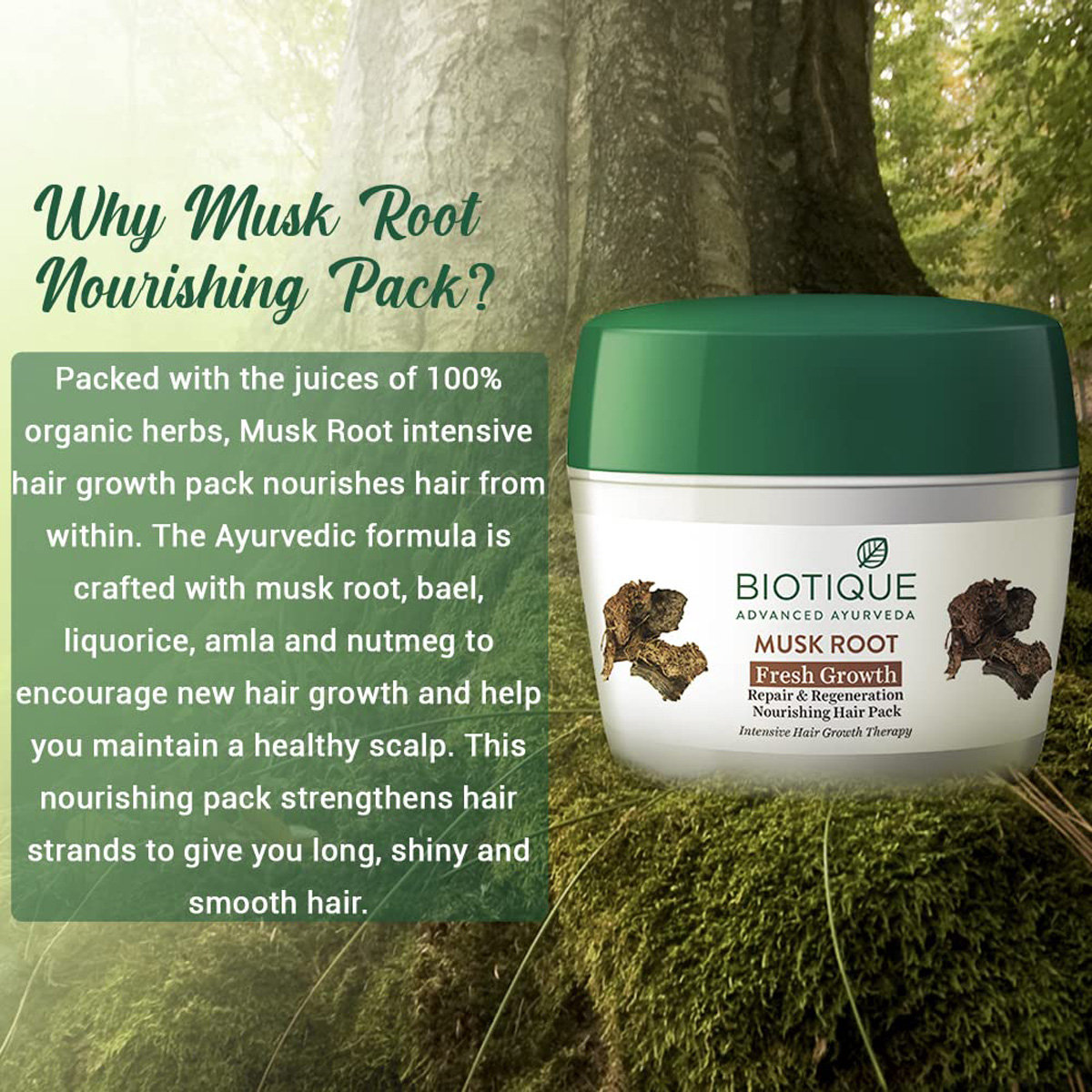 Biotique Bio Musk Root Hair Pack, 230 gm, Pack of 1 Biotique Bio Musk Root Hair Pack, 230 gm, Pack of 1