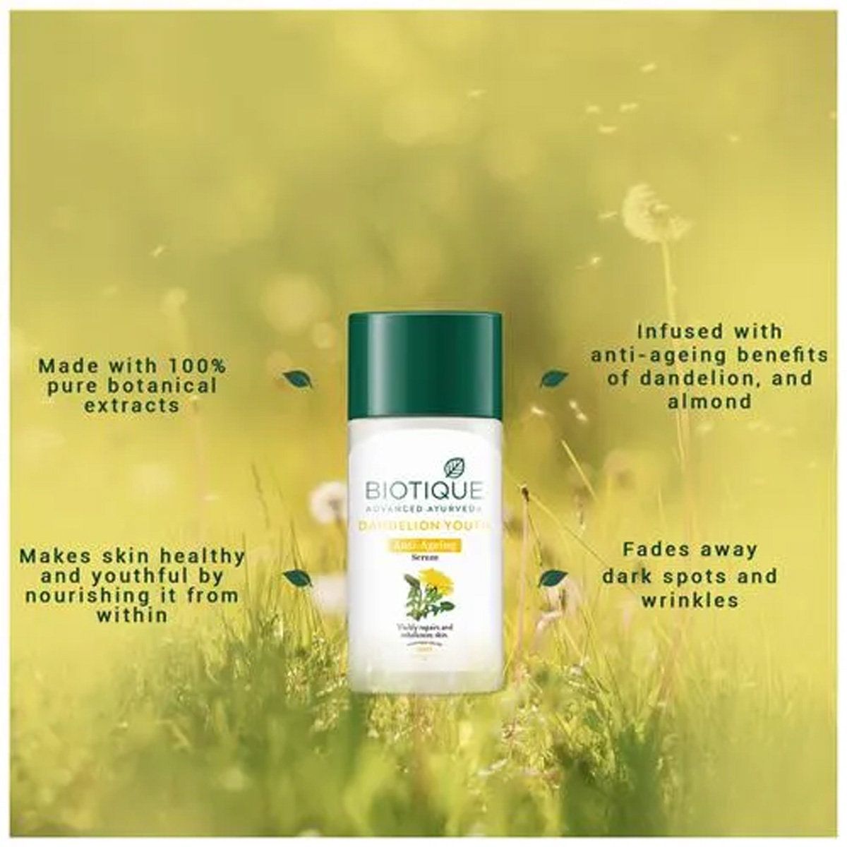 Biotique Dandelion Youth Anti-Ageing Serum 35 ml | Dandelion, Almond | Reduces Dark Spots & Wrinkles | Visibly Repair & Rebalanced Skin | 100% Botanical Extract | For All Skin Type, Pack of 1 Biotique Dandelion Youth Anti-Ageing Serum 35 ml | Dandelion, Almond | Reduces Dark Spots & Wrinkles | Visibly Repair & Rebalanced Skin | 100% Botanical Extract | For All Skin Type, Pack of 1