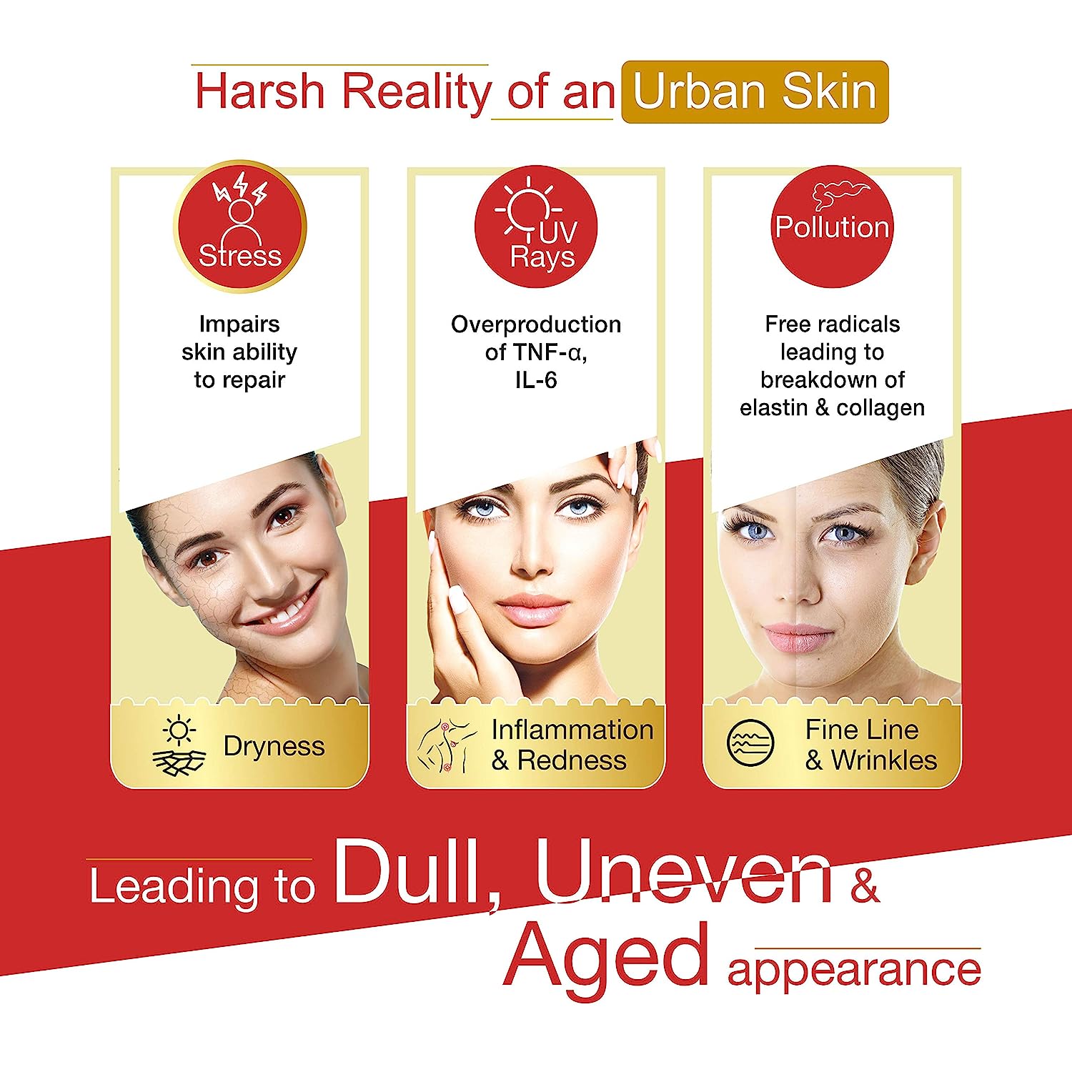 Botanica 3D Serum, 30 ml, Pack of 1 Botanica 3D Serum, 30 ml, Pack of 1