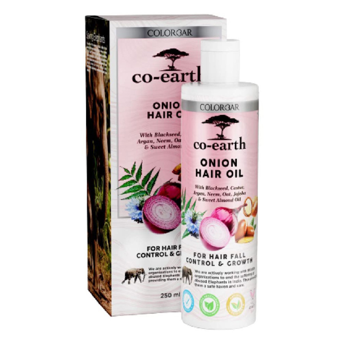 Colorbar Co-Earth Onion Hair Oil, 250 ml, Pack of 1 Colorbar Co-Earth Onion Hair Oil, 250 ml, Pack of 1