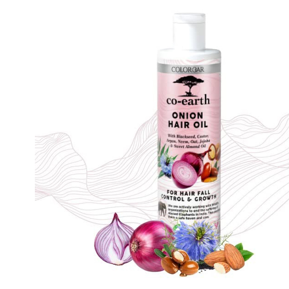 Colorbar Co-Earth Onion Hair Oil, 250 ml, Pack of 1 Colorbar Co-Earth Onion Hair Oil, 250 ml, Pack of 1