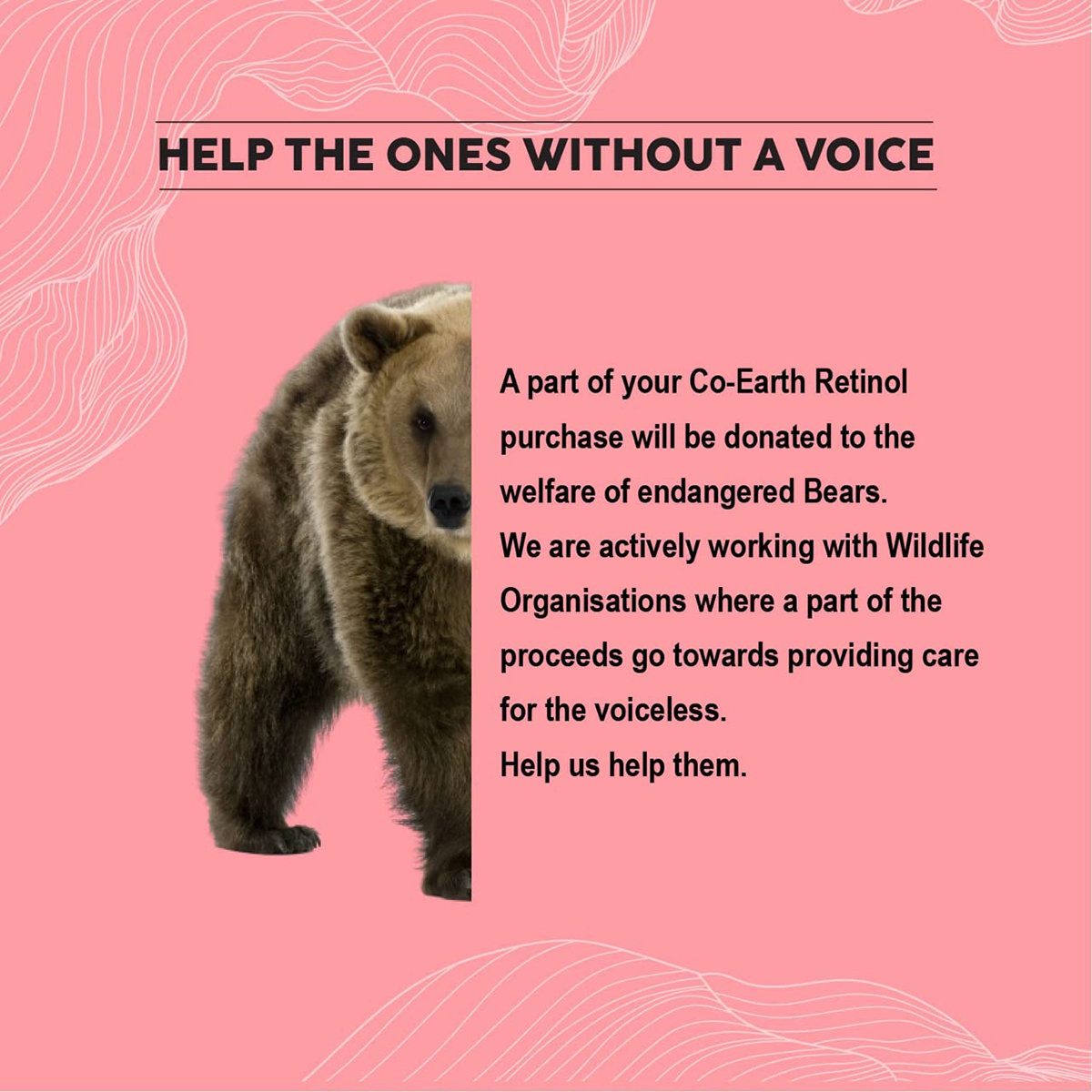 Colorbar Co-Earth Retinol Face Serum 30 ml | Vitamin A, Niacinamide, Hyaluronic Acid, Vitamin C, Chamomile, Witch Hazel & Wheatgerm | Fights Signs Og Ageing | Moiturises & Hydrates Skin, Pack of 1 Colorbar Co-Earth Retinol Face Serum 30 ml | Vitamin A, Niacinamide, Hyaluronic Acid, Vitamin C, Chamomile, Witch Hazel & Wheatgerm | Fights Signs Og Ageing | Moiturises & Hydrates Skin, Pack of 1