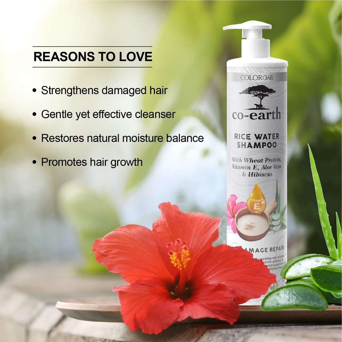 Colorbar Co-Earth Rice Water Shampoo, 300 ml, Pack of 1 Colorbar Co-Earth Rice Water Shampoo, 300 ml, Pack of 1