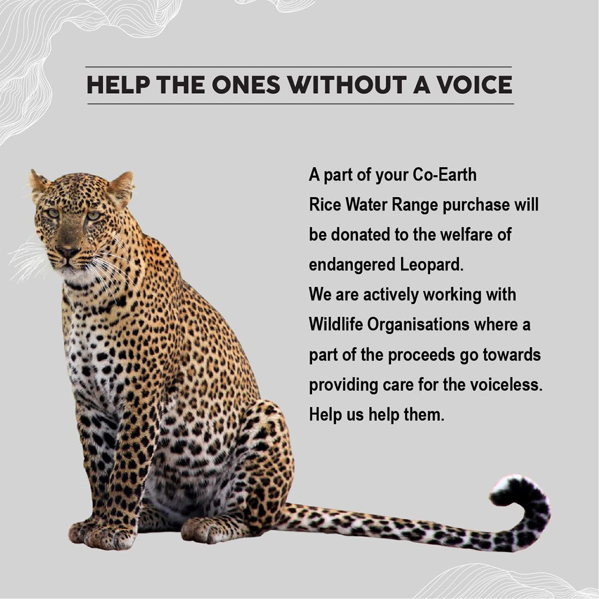 Colorbar Co-Earth Rice Water Shampoo, 300 ml, Pack of 1 Colorbar Co-Earth Rice Water Shampoo, 300 ml, Pack of 1