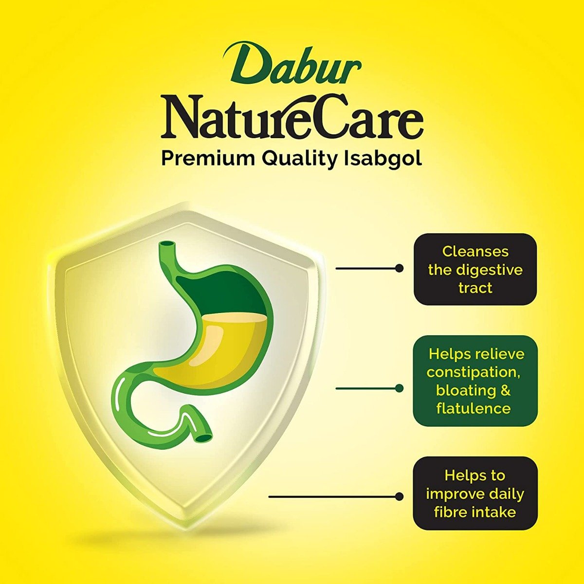 Dabur Nature Care Isabgol, 375 gm, Pack of 1 Dabur Nature Care Isabgol, 375 gm, Pack of 1