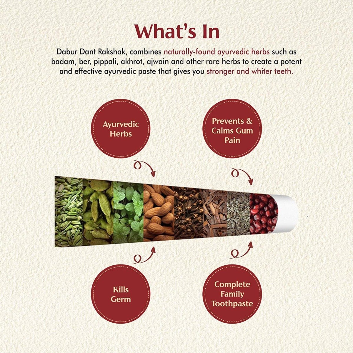 Dabur Dant Rakshak Ayurvedic Toothpaste, 80 gm, Pack of 1 Dabur Dant Rakshak Ayurvedic Toothpaste, 80 gm, Pack of 1