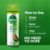 Dettol Original Pine Disinfectant Spray, 170 gm, Pack of 1
