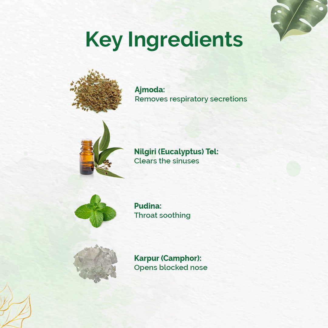 Dr. Vaidya's Inhalant, 10 gm, Pack of 1 Dr. Vaidya's Inhalant, 10 gm, Pack of 1