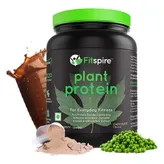 Fitspire Plant Protein Chocolate Flavour Powder, 500 gm, Pack of 1