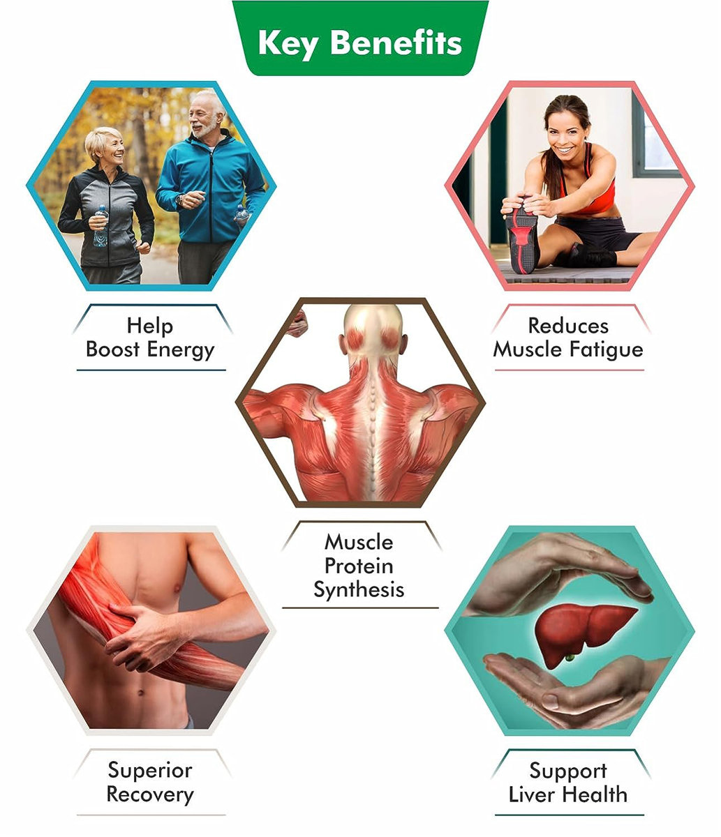 Fullyte BCAA+ Watermelon Flavour Powder 280 gm, Pack of 1 Fullyte BCAA+ Watermelon Flavour Powder 280 gm, Pack of 1