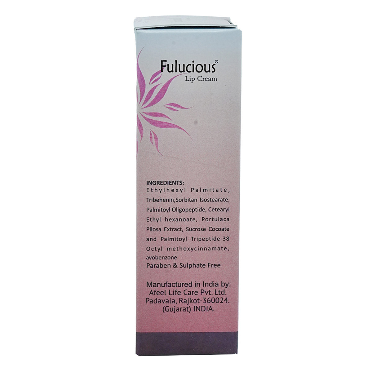 Fulucious SPF 15 Lip Cream 5 gm, Pack of 1 Fulucious SPF 15 Lip Cream 5 gm, Pack of 1