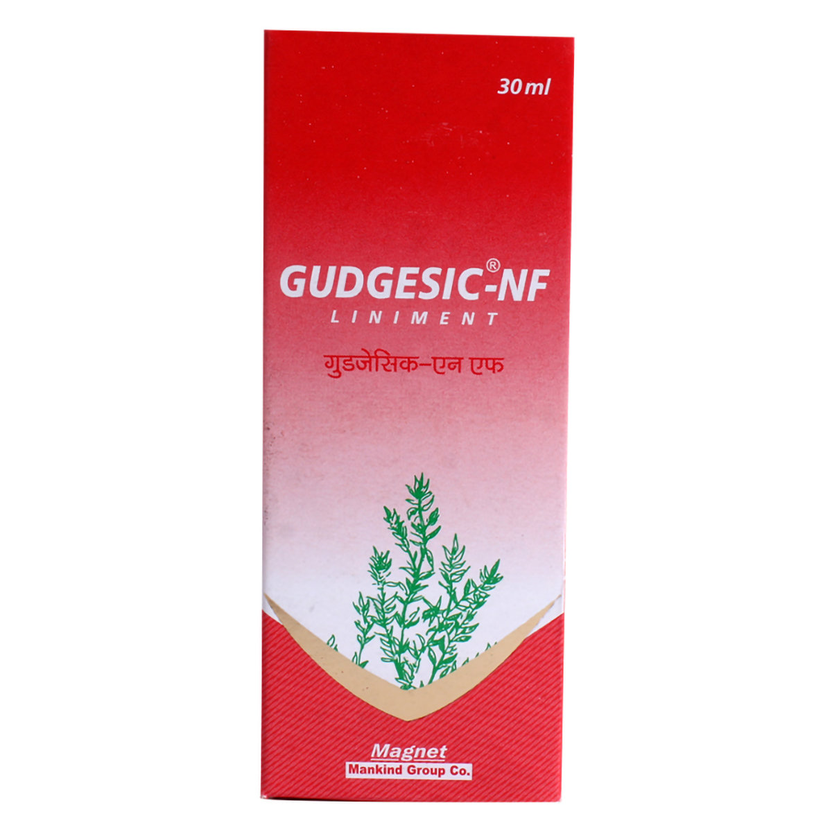 Gudgesic-NF Liniment, 30 ml, Pack of 1 Gudgesic-NF Liniment, 30 ml, Pack of 1