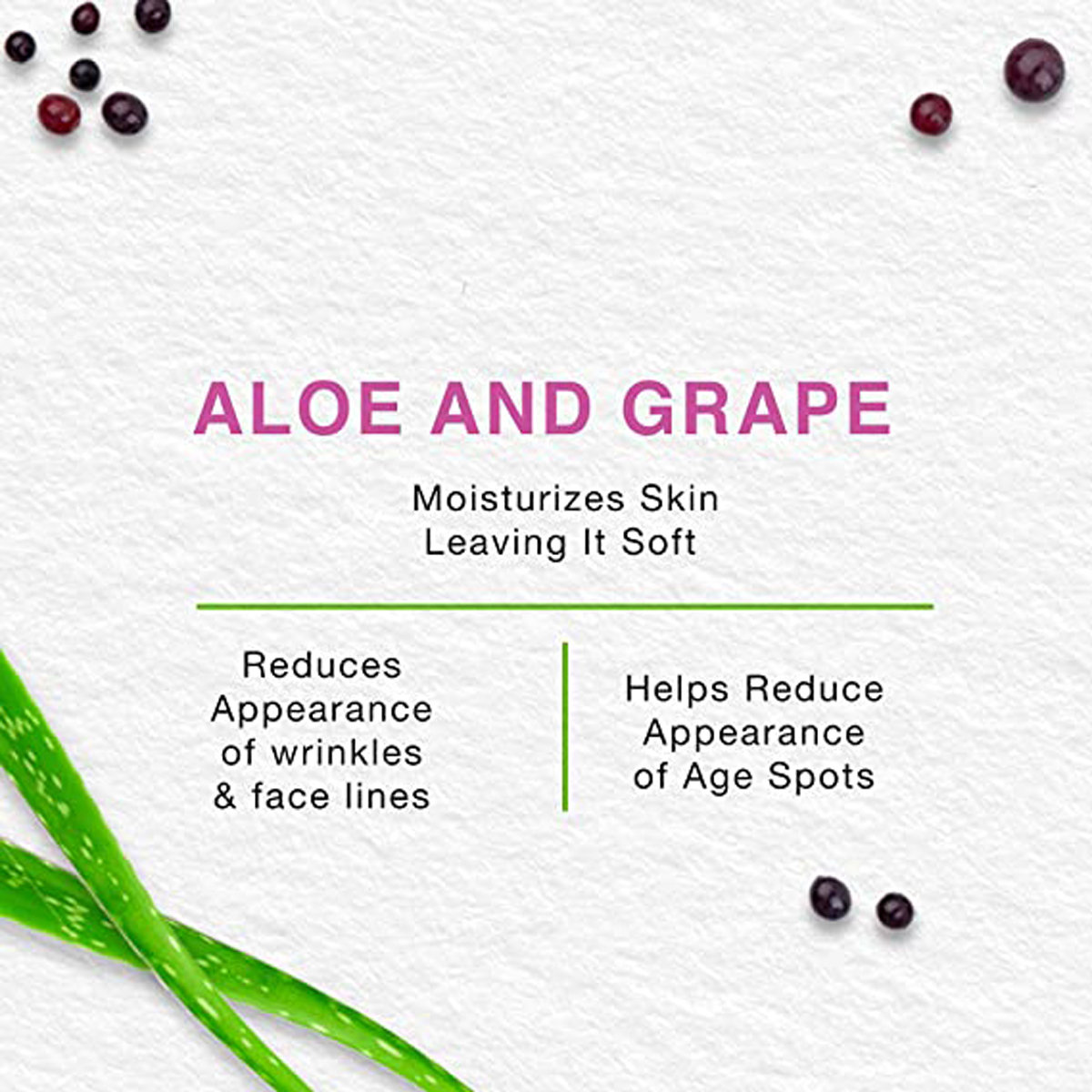 Himalaya Anti-Wrinkle Cream 50 gm | Aloe Vera & Grapes | For Reduction Of Finelines, Wrinkles & Age Spots | For Younger Looking Skin, Pack of 1 Himalaya Anti-Wrinkle Cream 50 gm | Aloe Vera & Grapes | For Reduction Of Finelines, Wrinkles & Age Spots | For Younger Looking Skin, Pack of 1