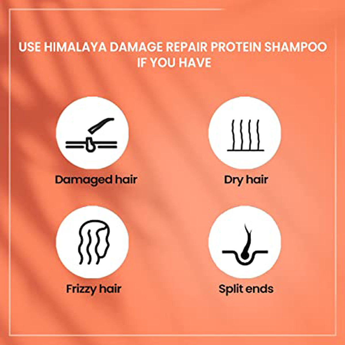 Himalaya Damage Repair Protein Shampoo with Beach Almond, 80 ml, Pack of 1 Himalaya Damage Repair Protein Shampoo with Beach Almond, 80 ml, Pack of 1
