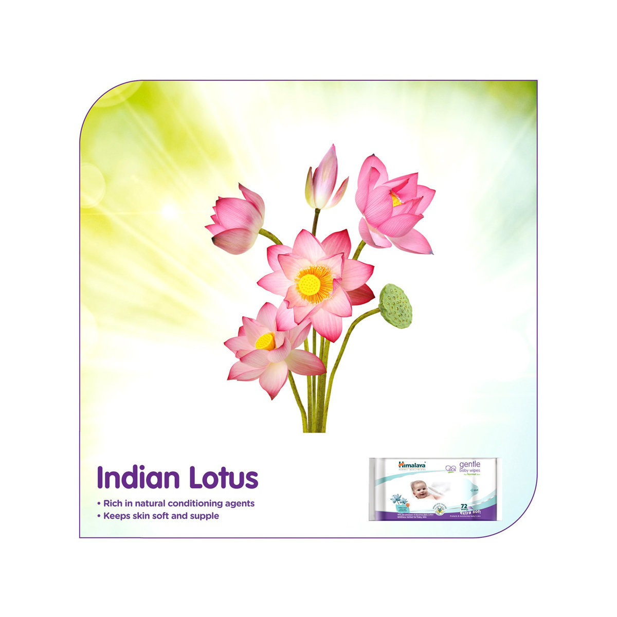 Himalaya Gentle Baby Wipes, 144 Count (Pack of 2), Pack of 1 Himalaya Gentle Baby Wipes, 144 Count (Pack of 2), Pack of 1