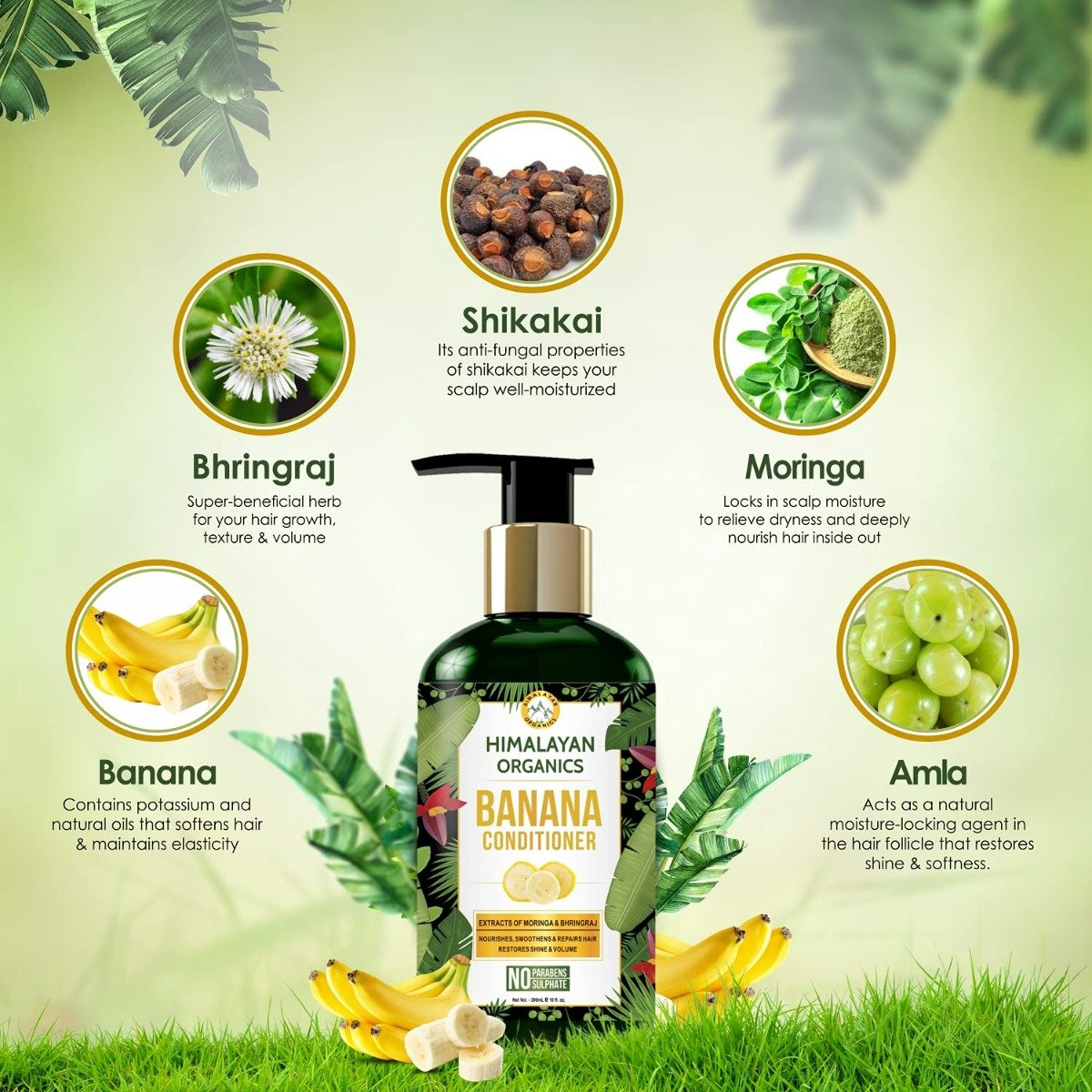 Himalayan Organics Banana Conditioner, 300 ml, Pack of 1 Himalayan Organics Banana Conditioner, 300 ml, Pack of 1